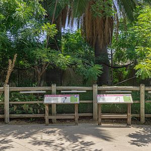 Elephants of Asia: Elephants of China