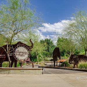 Elephants of Asia: Elephant Circle