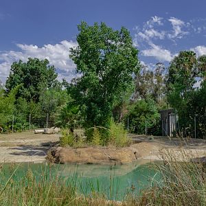 Elephants of Asia: Elephant Circle