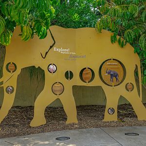 Elephants of Asia: Elephant Circle