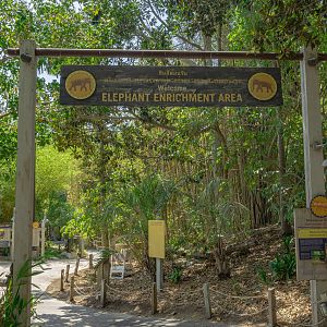 Elephants of Asia: Thai Pavilion
