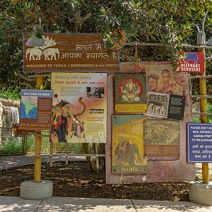 Elephants of Asia: India Plaza