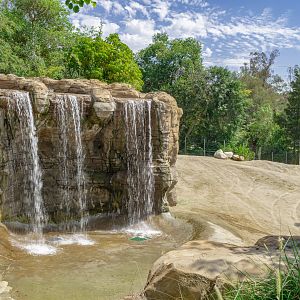 Elephants of Asia: India Plaza