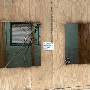 PCC - Construction of New Exhibit