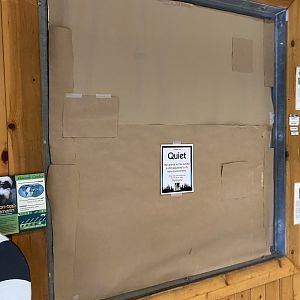 PCC - Cotton-Topped Tamarin Exhibit