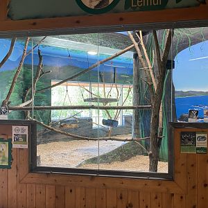 PCC - Indoor Ring-Tailed Lemur Exhibit