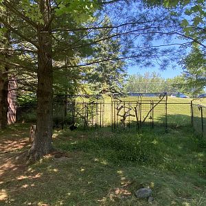 Prairie Dog Row - Outdoor Macaw Cages