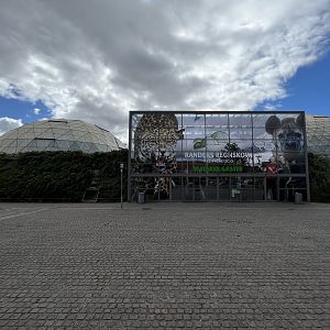 Three Tropical Domes