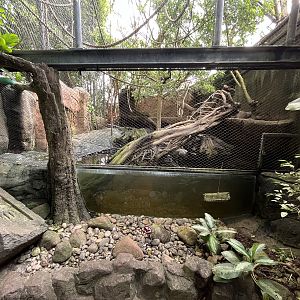 Asian Dome -Gibbon/Otter Exhibit