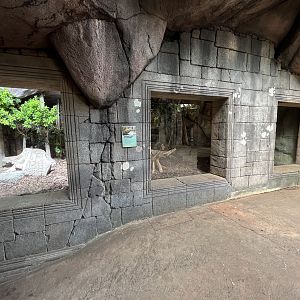 Asian Dome - Komodo Dragon Exhibit