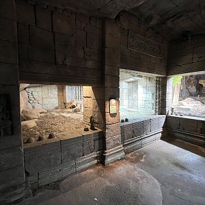 Asian Dome - Komodo Dragon Exhibit