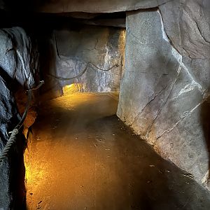 Nocturnal Entrance Cave