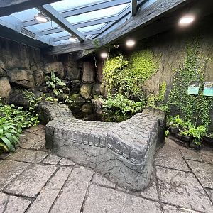 Snake Temple - open-topped Archerfish tank