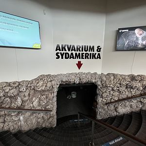 Aquarium Entrance