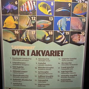 Aquarium - species list