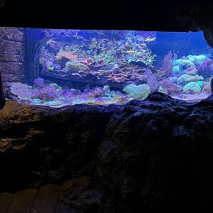 Aquarium Tank (one of 10)
