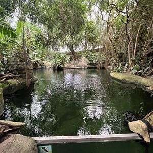 South America - Manatee Pool