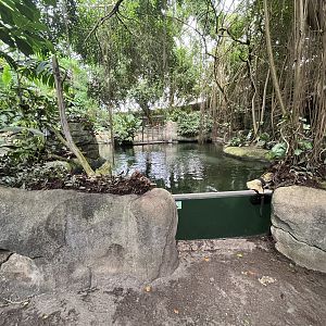 South America - Manatee Pool