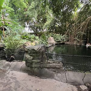 South America - Manatee Pool