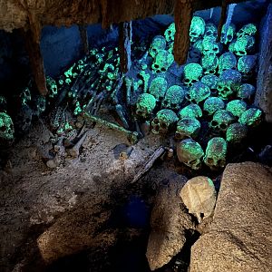 Glowing Skull Cave