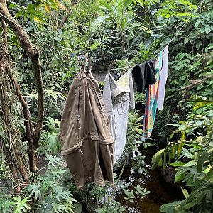 South America - laundry in the jungle