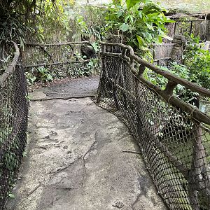 South America - Alligator Overlook