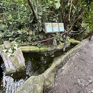 South America - Leafcutter Ant Exhibit