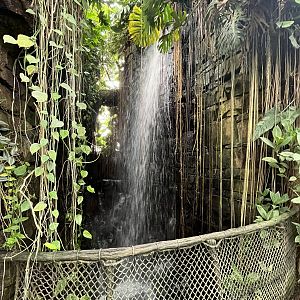 South America - Waterfall