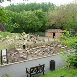 African Plains exhibit at Newquay Zoo