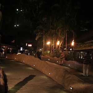 Night Safari Entrance Village