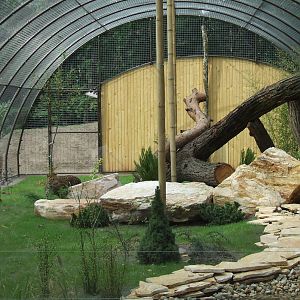 Chinese leopard enclosure @ Debrecen Zoo, Hungary