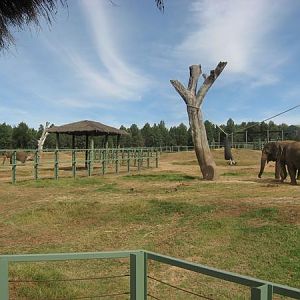 Burma separated from Arna and Gigi