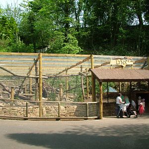 New European Lynx enclosure at Dudley Zoo May 08