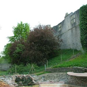 Gibbon enclosure, Sea Lion pool and Castle walls at Dudley Zoo May 08