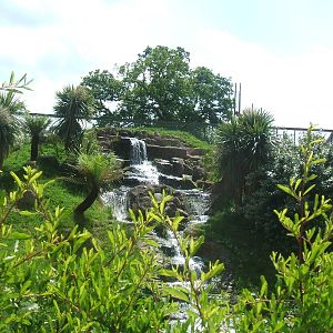 Jaguar enclosure at Chester Zoo