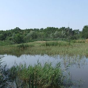 Part of the Pantanal exhibit @ Szeged Zoo, Hungary