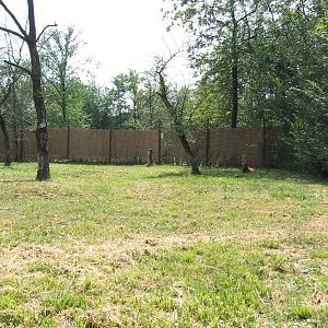 Maned wolf enclosure @ Szeged Zoo, Hungary
