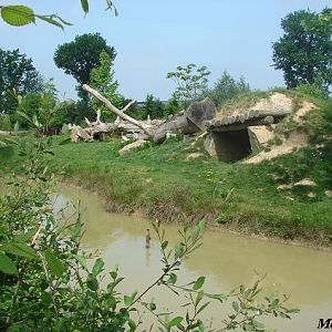 Gorilla island - La Boissière du Doré