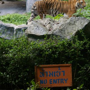 no entry sign! - at Chiang Mai Zoo (Thailand)