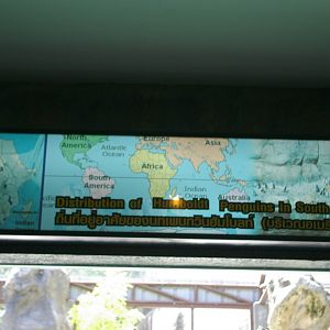 penguin signage, Chiang Mai Zoo (Thailand)