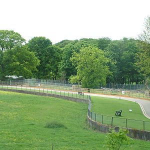 Sloth Bear Enclosure at Whipsnade 18/05/08