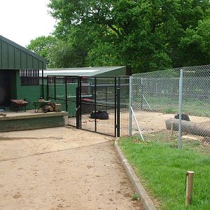 Sloth Bear Enclosure at Whipsnade 18/05/08