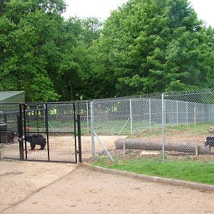 Sloth Bear Enclosure at Whipsnade 18/05/08