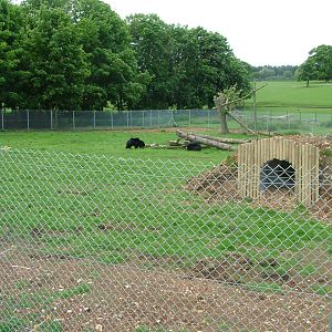 Sloth Bear Enclosure at Whipsnade 18/05/08