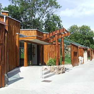 Big cat facilities @ Zoo Bratislava