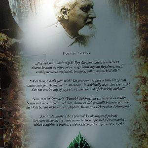 Commemorative tablet of Konrad Lorenz @ Miskolc Zoo, Hungary