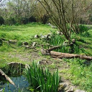 Jaguar exhibit - Zoo des Sables d'Olonne (France)