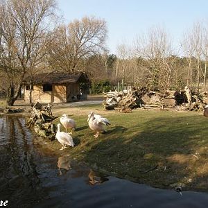 South American exhibit - Les Sables d'Olonne (France)