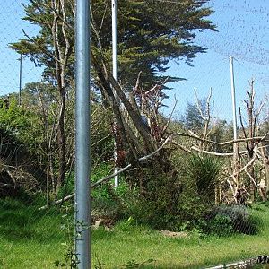 Parrot's Aviary - Les Sables d'Olonne (France)