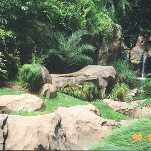 Komodo Dragon enclosure